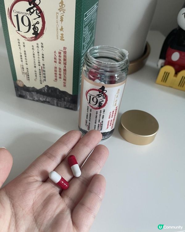 疫情增強免疫力～《蟲草19》改善睡眠質素