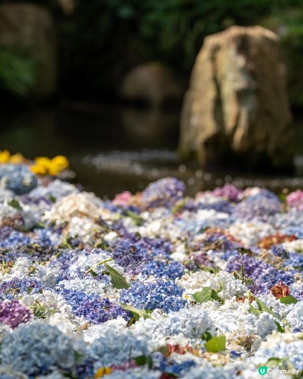 茨城 | 雨引観音