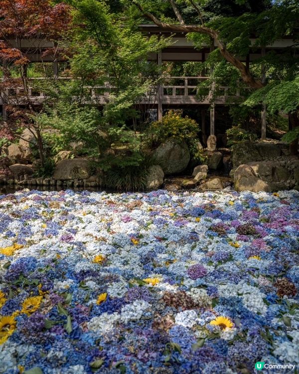 茨城 | 雨引観音