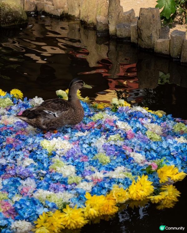 茨城 | 雨引観音