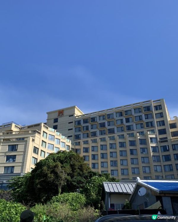 【韓國-濟州】4日3夜(二) Arte Museum|繡球花海大道|傳統巿|美術家紀念館