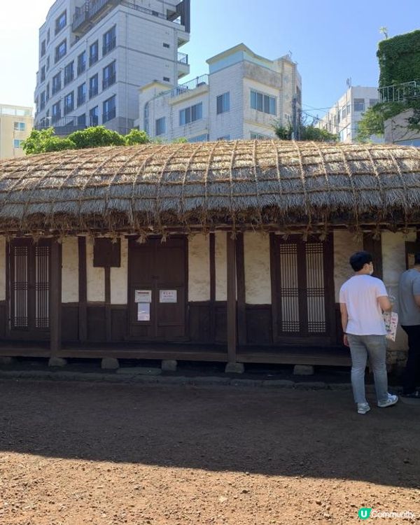 【韓國-濟州】4日3夜(二) Arte Museum|繡球花海大道|傳統巿|美術家紀念館