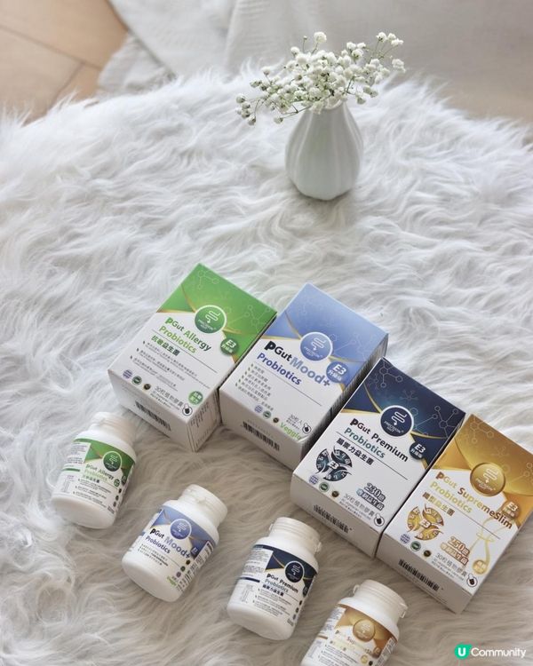 食益生菌可以減肥❓可以訓好D❓可以提升免疫力❓