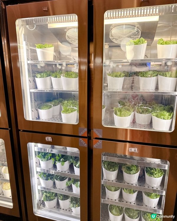 高質新派打邊爐🍲