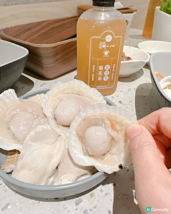 高質新派打邊爐🍲