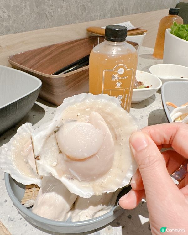 高質新派打邊爐🍲