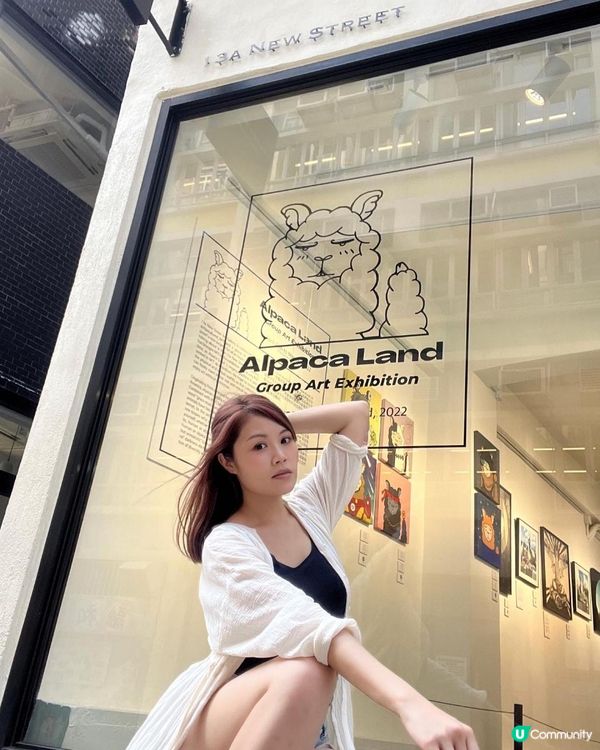 🦙🦙🦙得意！草泥馬畫展 ✨