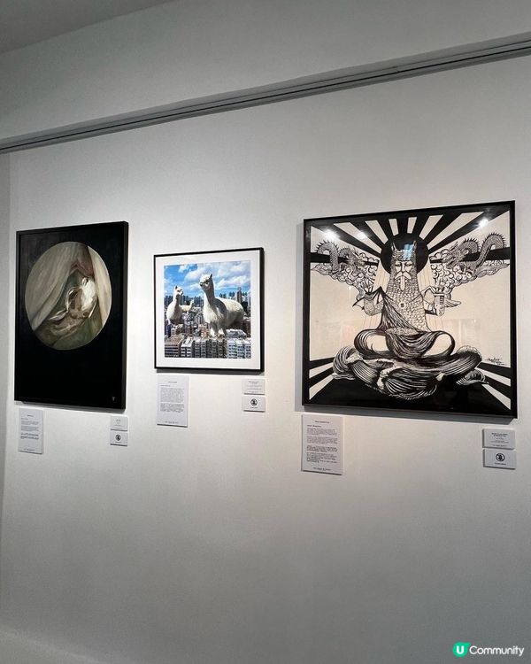 🦙🦙🦙得意！草泥馬畫展 ✨