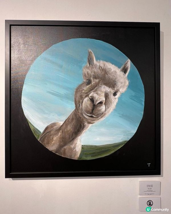 🦙🦙🦙得意！草泥馬畫展 ✨