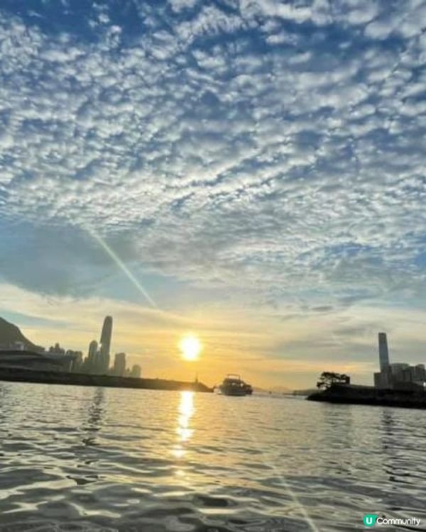 【鬧市中的小燈塔】｜認識香港避風塘的獨有文化｜金融商業中心下的小燈塔