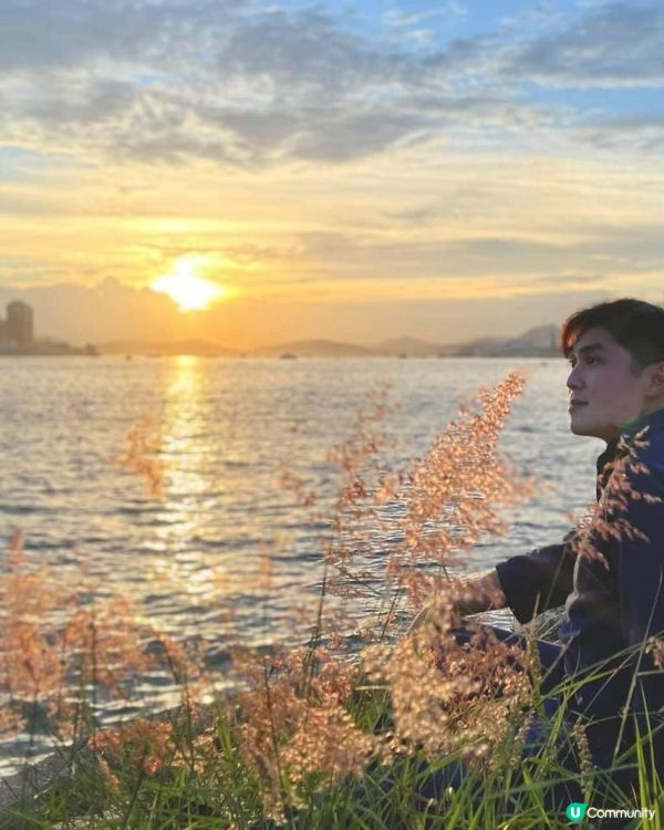 【鬧市中的小燈塔】｜認識香港避風塘的獨有文化｜金融商業中心下的小燈塔