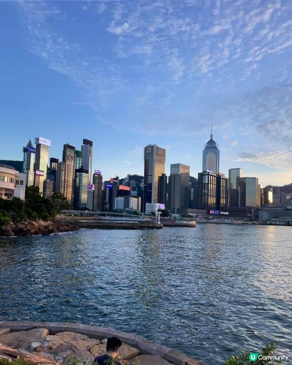 【鬧市中的小燈塔】｜認識香港避風塘的獨有文化｜金融商業中心下的小燈塔