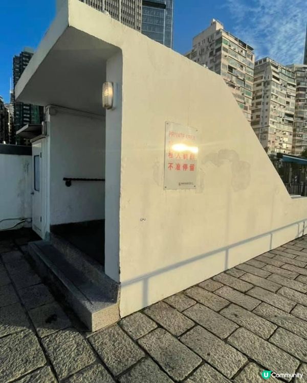 【鬧市中的小燈塔】｜認識香港避風塘的獨有文化｜金融商業中心下的小燈塔