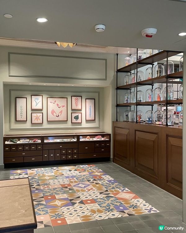 米奇的午餐-芊彩午餐