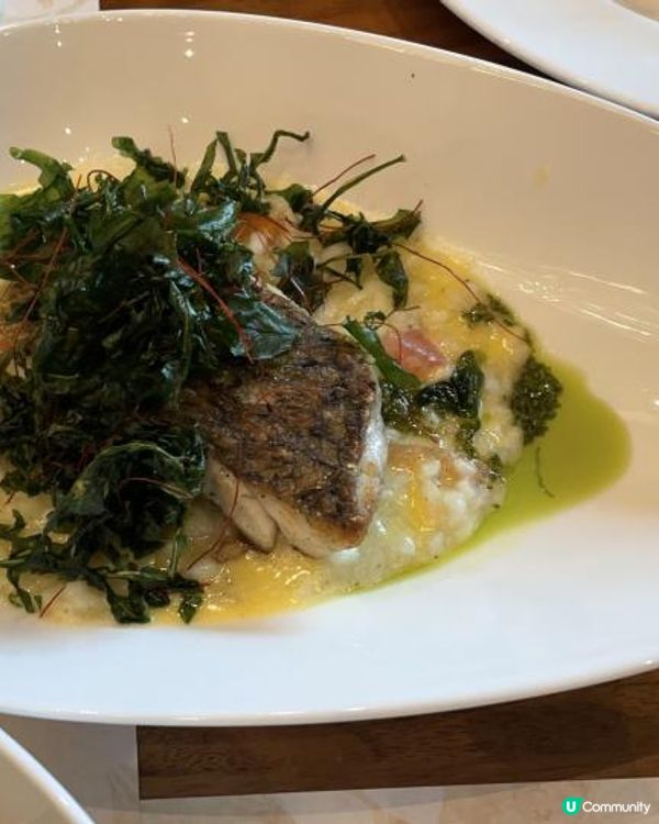 米奇的午餐-芊彩午餐