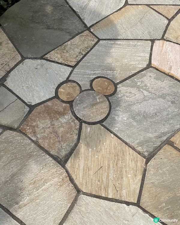 香港迪士尼探索家度假酒店-隱藏米奇