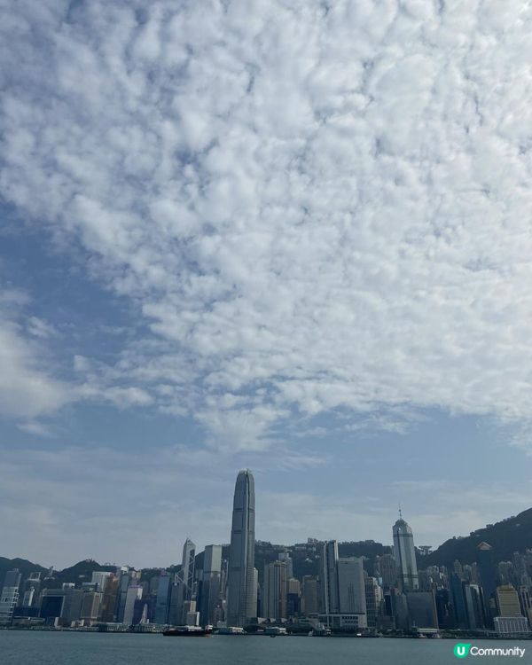 望無敵維港海景🚢嘆精緻中式點心😎西九全新中西fusion餐廳