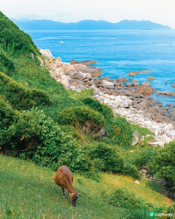 每週行山郊遊 塔門全攻略