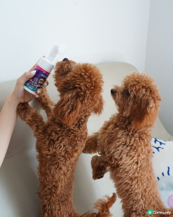  清潔+保養腳掌神器🐾🐶