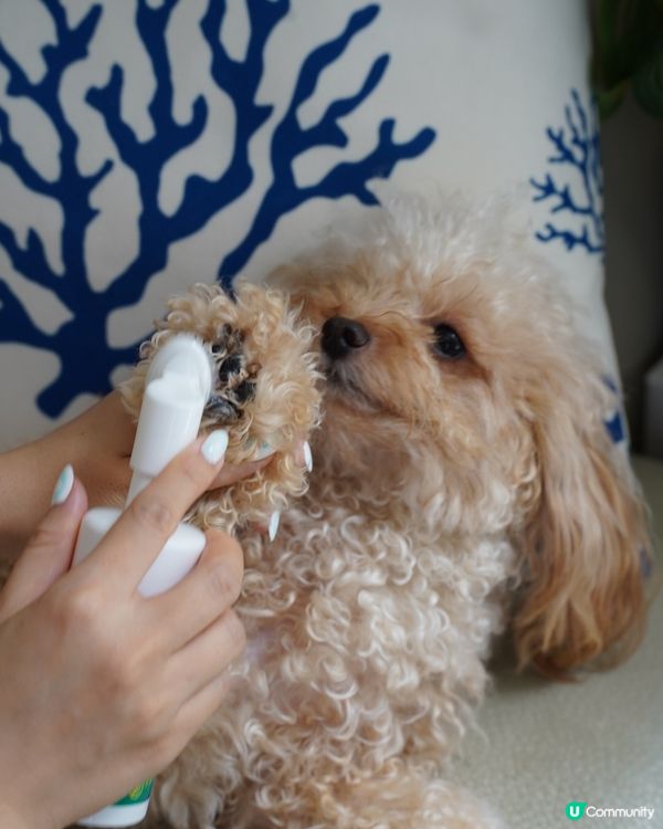  清潔+保養腳掌神器🐾🐶