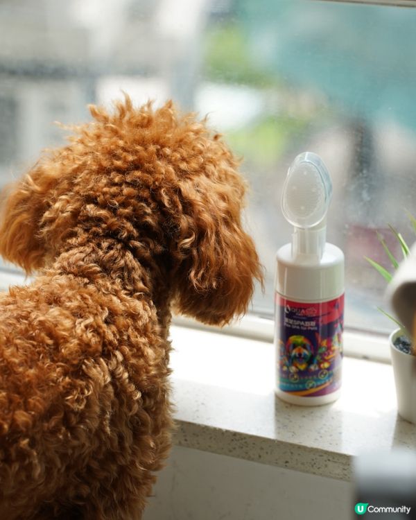  清潔+保養腳掌神器🐾🐶