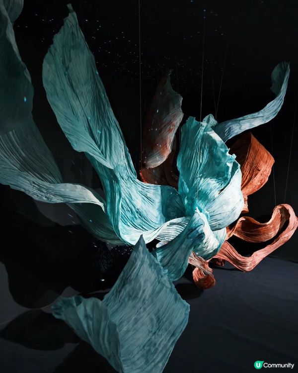 深圳新展 敦煌莫高窟太震撼了！免費！