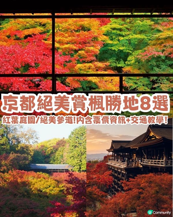 京都紅葉2024賞楓名所8選🍁最佳觀賞時間+交通教學‼️