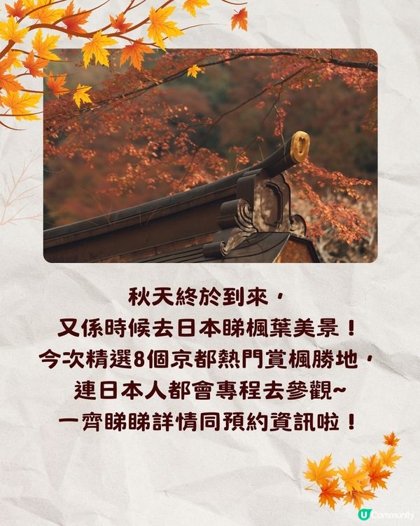 京都紅葉2024賞楓名所8選🍁最佳觀賞時間+交通教學‼️