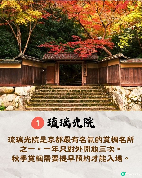 京都紅葉2024賞楓名所8選🍁最佳觀賞時間+交通教學‼️