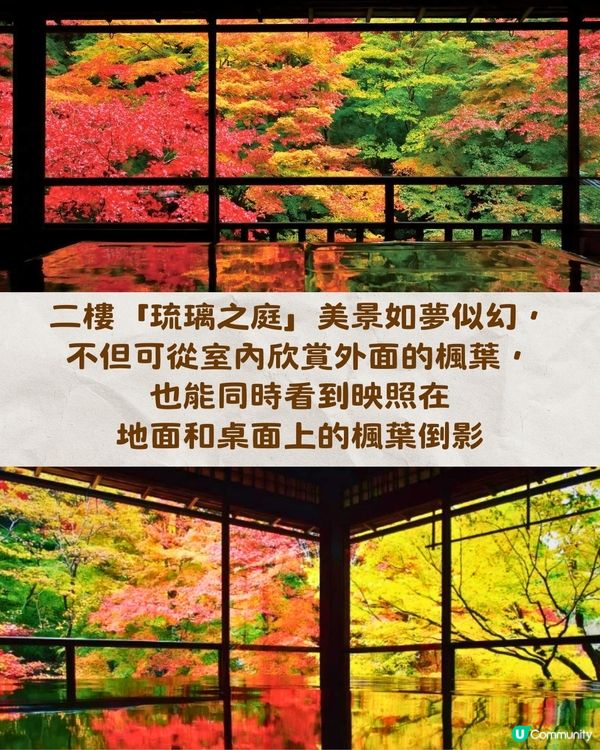 京都紅葉2024賞楓名所8選🍁最佳觀賞時間+交通教學‼️