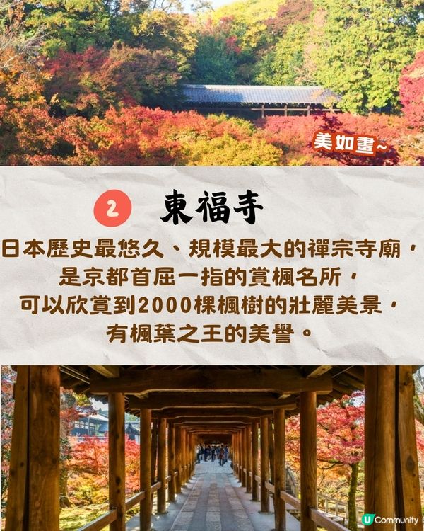 京都紅葉2024賞楓名所8選🍁最佳觀賞時間+交通教學‼️
