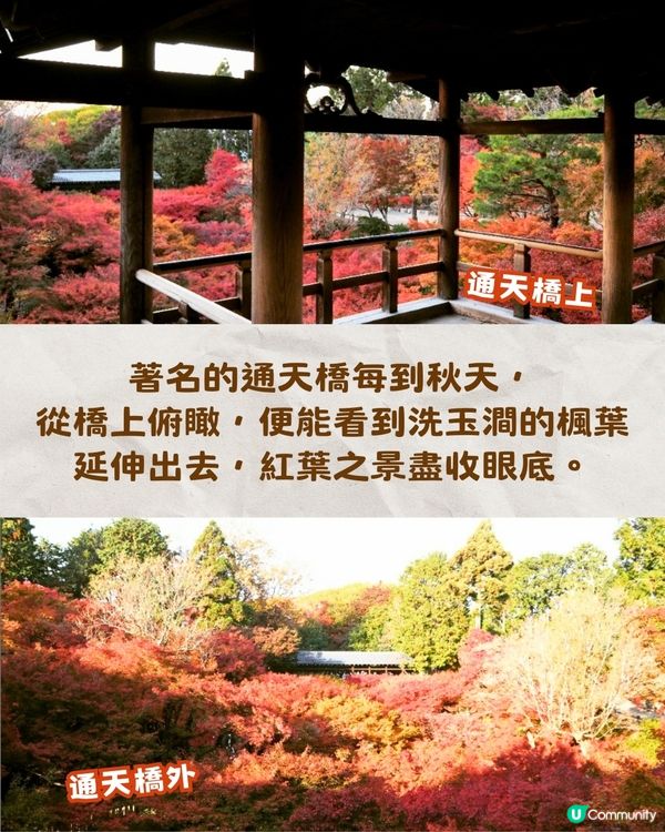 京都紅葉2024賞楓名所8選🍁最佳觀賞時間+交通教學‼️