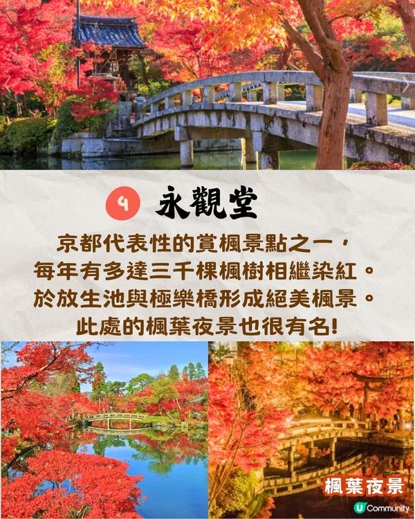 京都紅葉2024賞楓名所8選🍁最佳觀賞時間+交通教學‼️