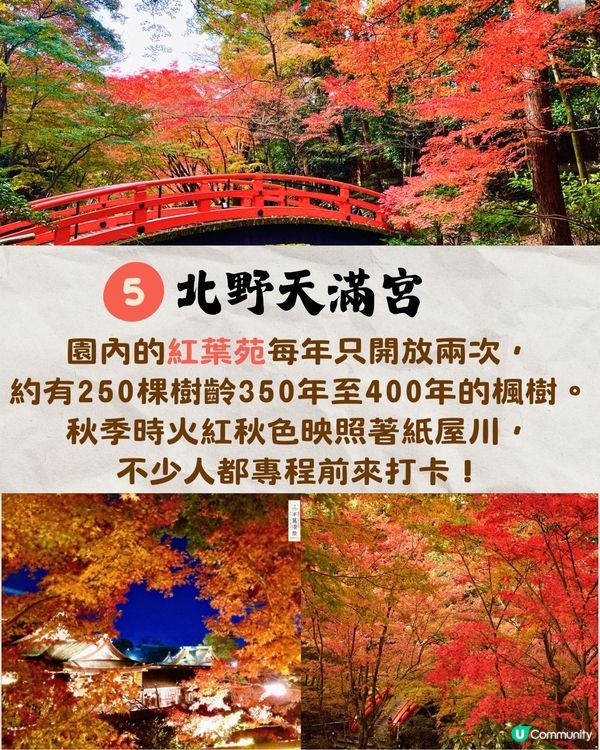 京都紅葉2024賞楓名所8選🍁最佳觀賞時間+交通教學‼️