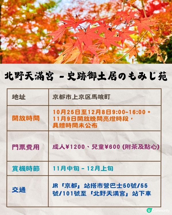京都紅葉2024賞楓名所8選🍁最佳觀賞時間+交通教學‼️