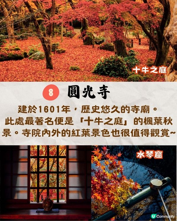 京都紅葉2024賞楓名所8選🍁最佳觀賞時間+交通教學‼️