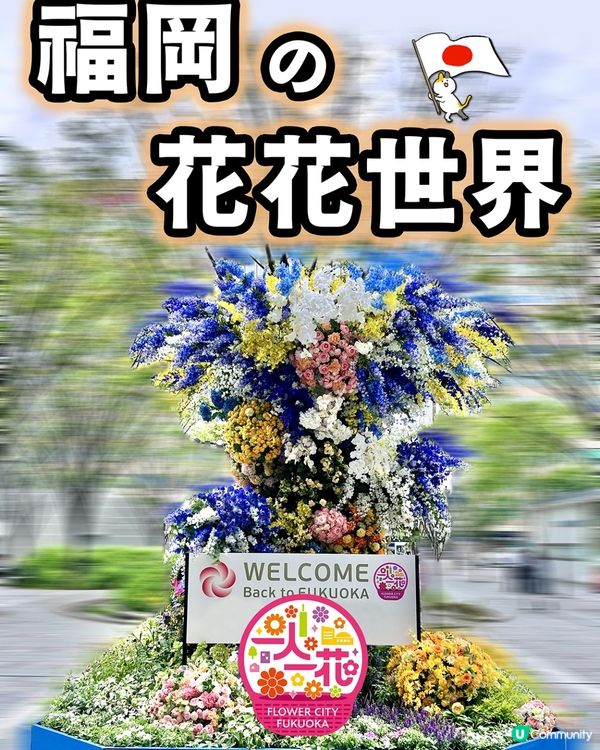福岡一人一花運動：城市的花園夢