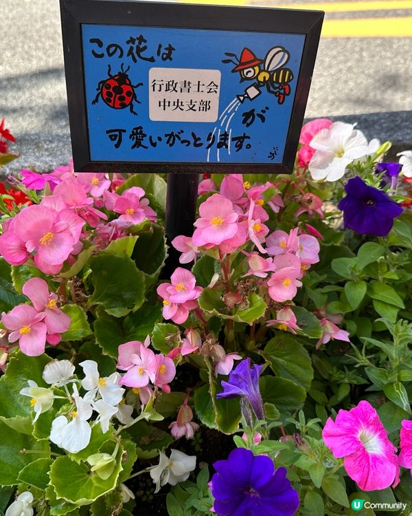 福岡一人一花運動：城市的花園夢
