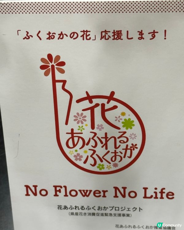 福岡一人一花運動：城市的花園夢