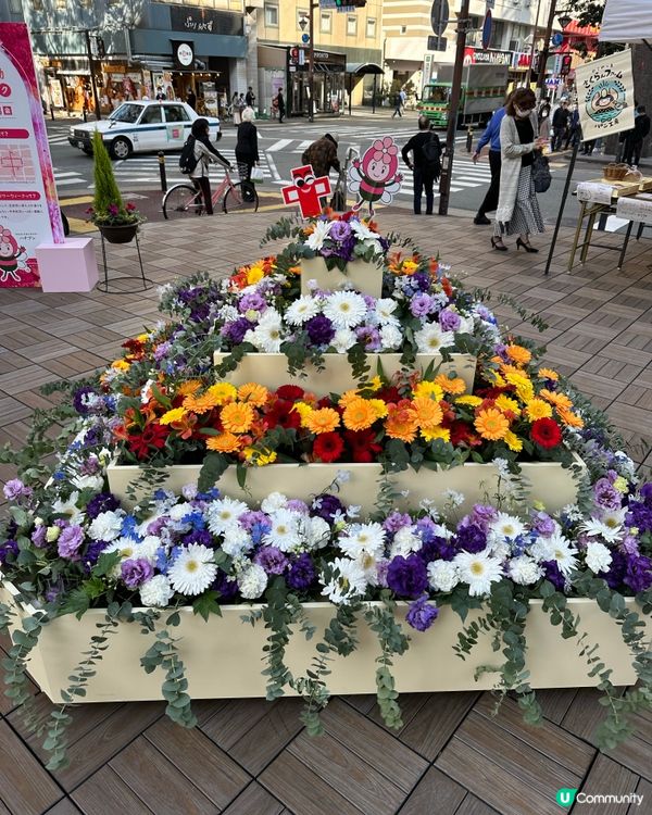 福岡一人一花運動：城市的花園夢