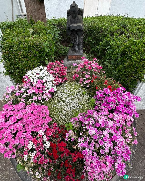 福岡一人一花運動：城市的花園夢