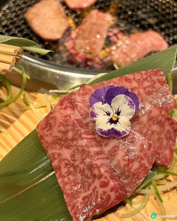 牛控必試!一圈入魂