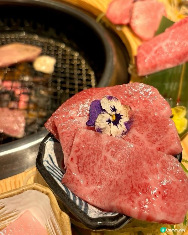 牛控必試!一圈入魂