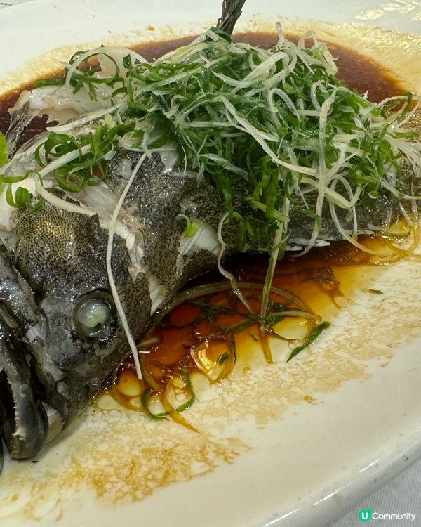 豐盛中菜：彩福皇宴