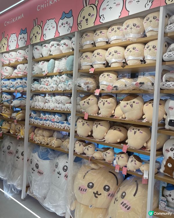 Chiikawa潮聖地-深圳miniso 