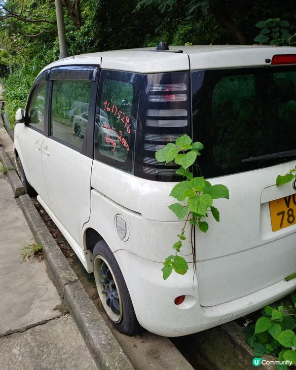 架車用來種植物