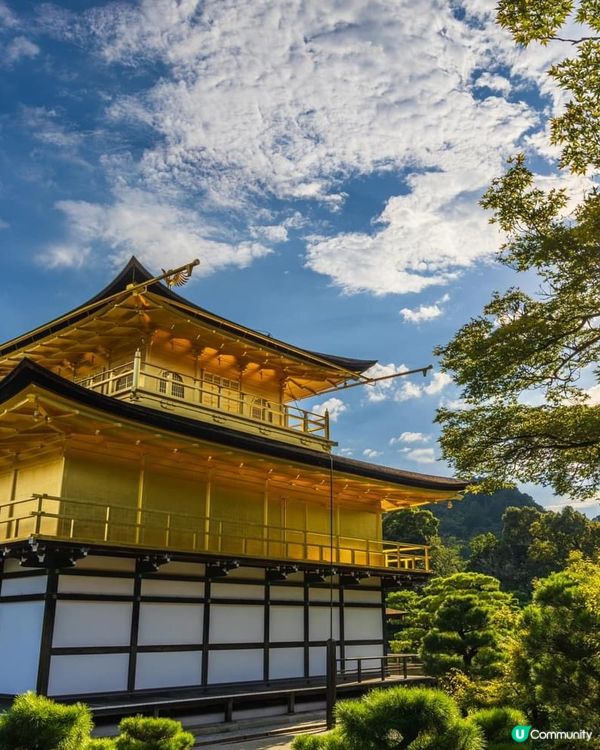 金光閃閃金閣寺