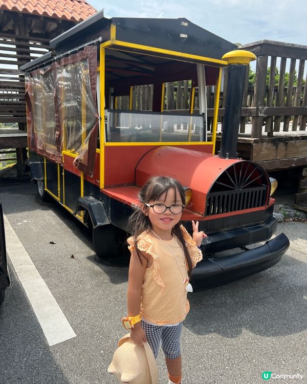 沖繩必到景點！百年古家大家 - 沖繩阿古豬