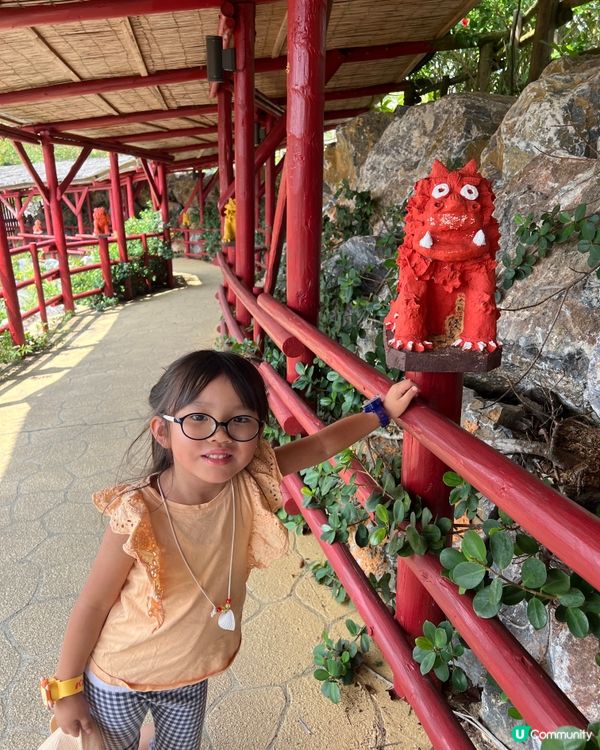 沖繩必到景點！百年古家大家 - 沖繩阿古豬