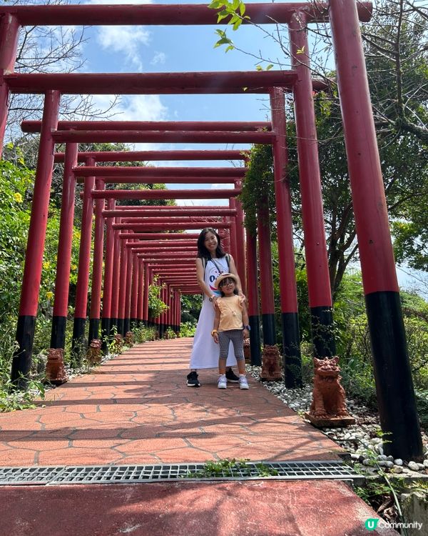 沖繩必到景點！百年古家大家 - 沖繩阿古豬